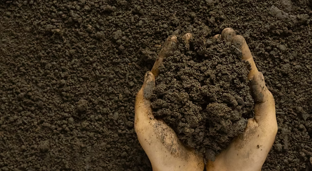 Soil First